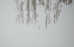 D_Dirt_Streaks_02