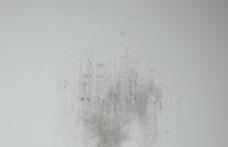 D_Lower_Wall_Dirt_02