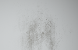 D_Lower_Wall_Dirt_03