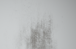 D_Lower_Wall_Dirt_06