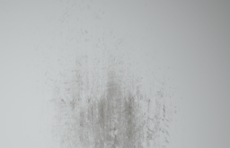 D_Lower_Wall_Dirt_09