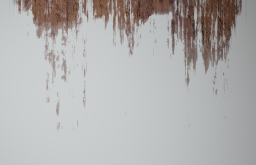 D_Rust_Streaks_01