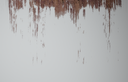 D_Rust_Streaks_05