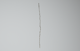 D_Wall_Cracks_04