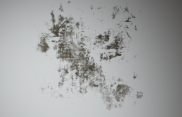 D_Wall_Stain_Large_06