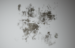 D_Wall_Stain_Large_07
