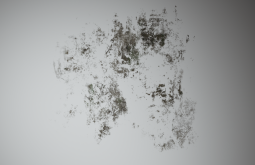 D_Wall_Stain_Large_08