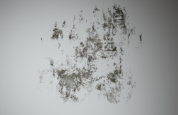 D_Wall_Stain_Large_09