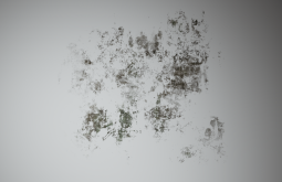 D_Wall_Stain_Large_10