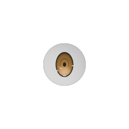 Amber Oval