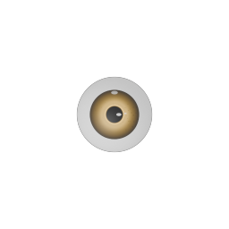 Fish Eye