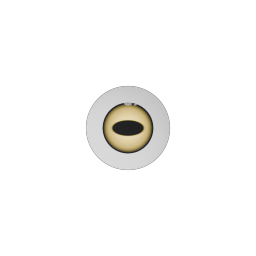 Goat Eye