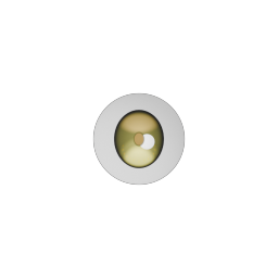 Olive Gold