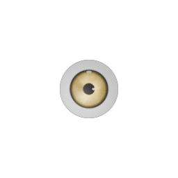 Wolf Eye