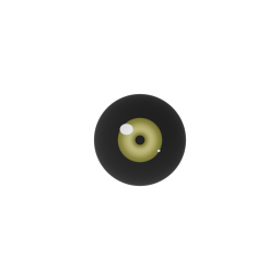 Onyx Sclera