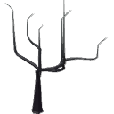 Common Tree Dry