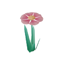 Daisy