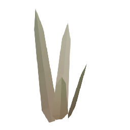 Dry Grass Tall