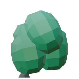 Grey Bush