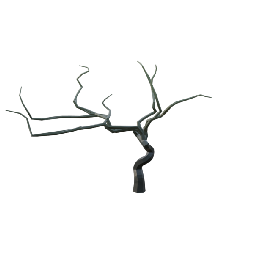 Spiky Tree Dry