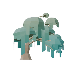 Willow Tree Big