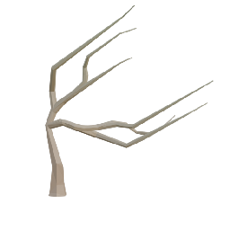 Willow Tree Dry