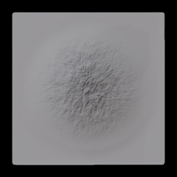 MG-Fur and Hair Alpha (153)