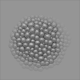 MG-scale 61