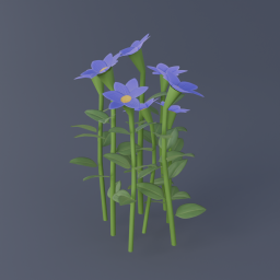 Pasque Flower 01