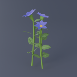 Pasque Flower 02