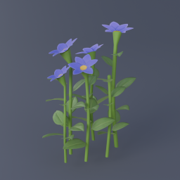 Pasque Flower 03