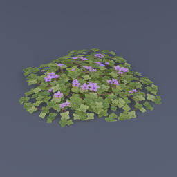 Purple Mountain Saxifrage 01