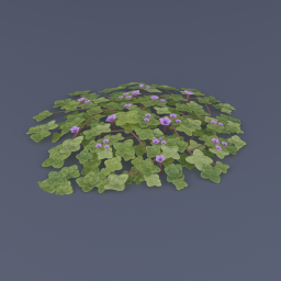 Purple Mountain Saxifrage 02