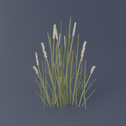 Tundra Grass 01