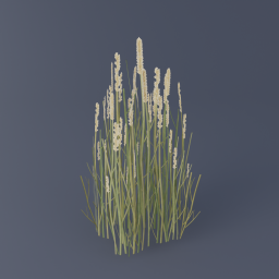 Tundra Grass 03