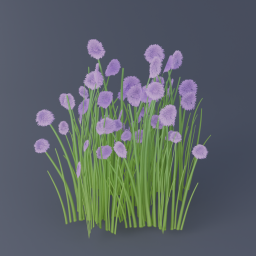 Chives 01