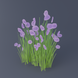 Chives 03