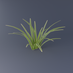 Flax 01