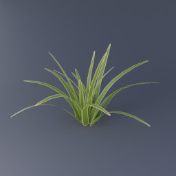 Flax 02