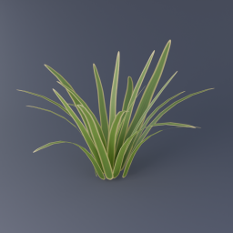 Flax 03