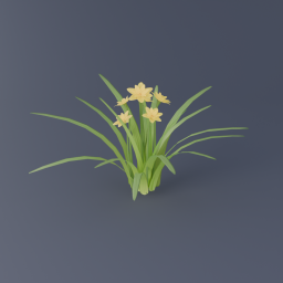 Narcissus 01