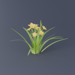 Narcissus 02