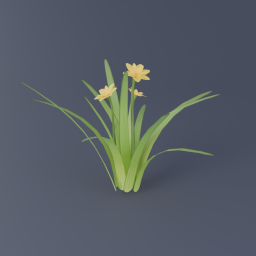 Narcissus 03