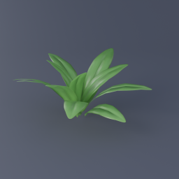 Bluebead Lily 01