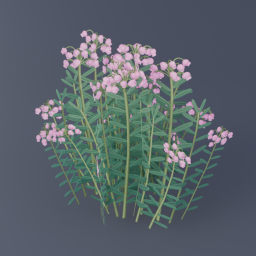 Bog Rosemary 02