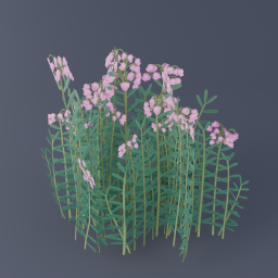 Bog Rosemary 03
