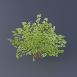 Gooseberry Bush 01