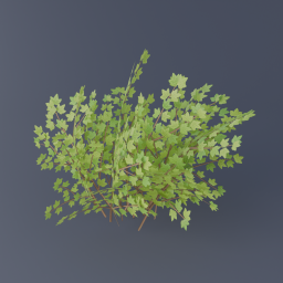 Gooseberry Bush 03