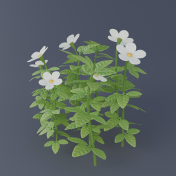 Wild Strawberry Bush 03