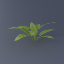 Buckbean 03
